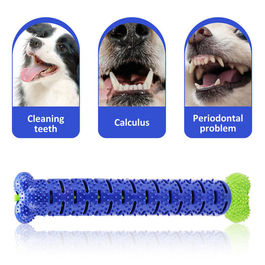 Bone Shaped Rubber Chew Toy with Molar Cleaning Technology for Dogs